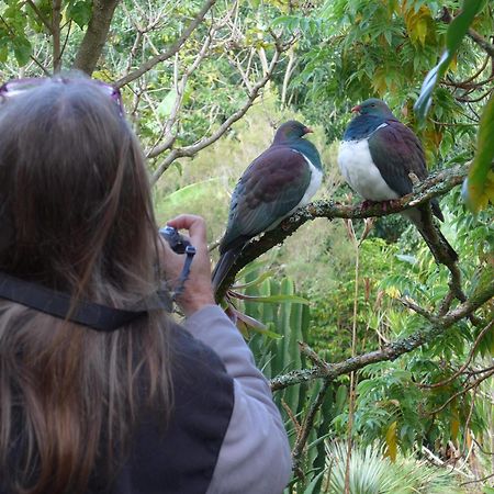 Wharepuke Subtropical Accommodation Kerikeri Esterno foto