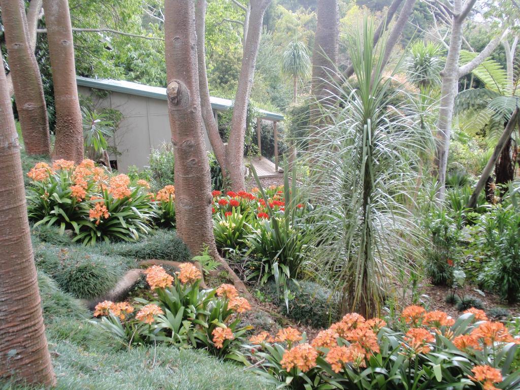 Wharepuke Subtropical Accommodation Kerikeri Esterno foto
