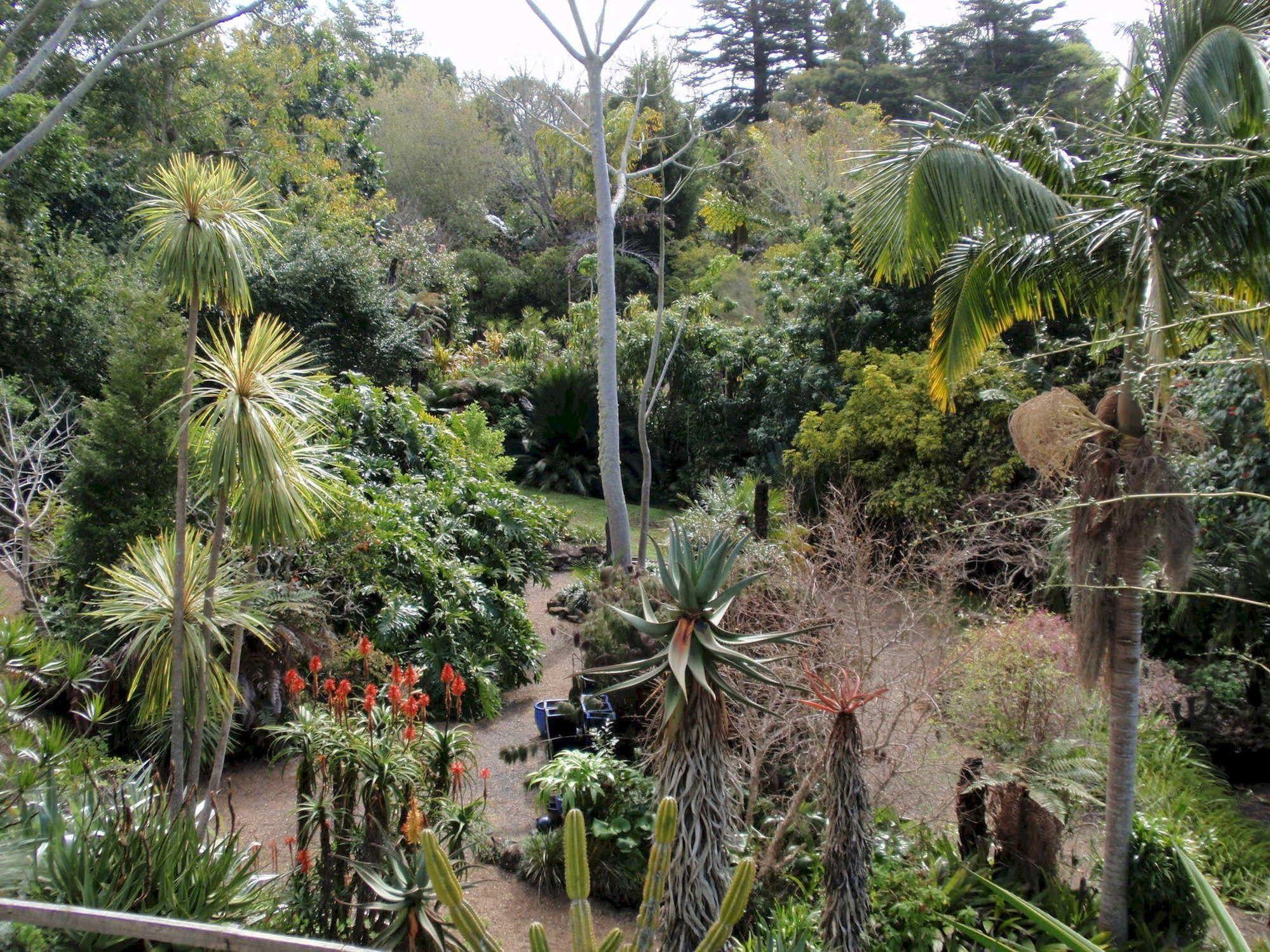 Wharepuke Subtropical Accommodation Kerikeri Esterno foto