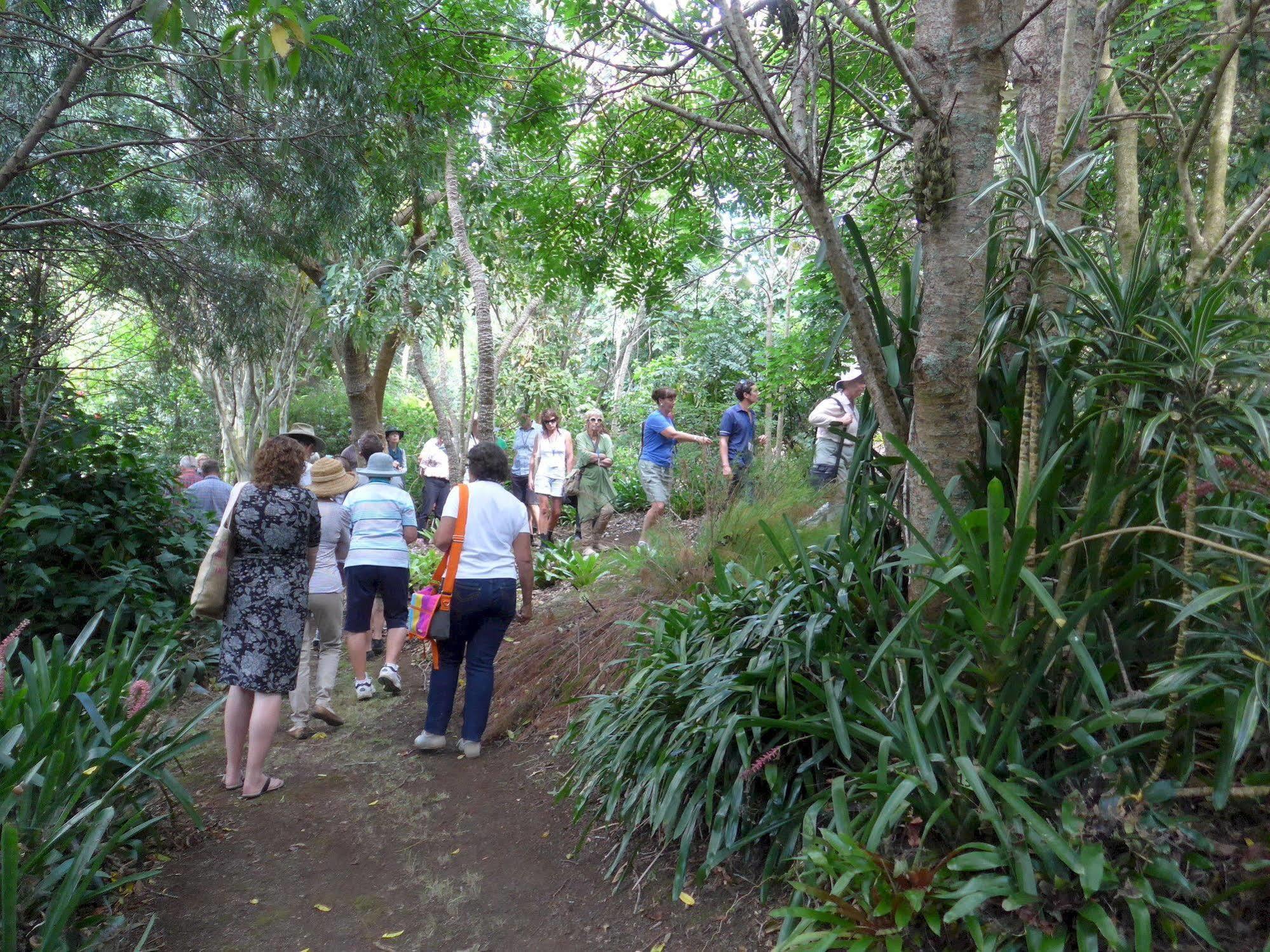 Wharepuke Subtropical Accommodation Kerikeri Esterno foto