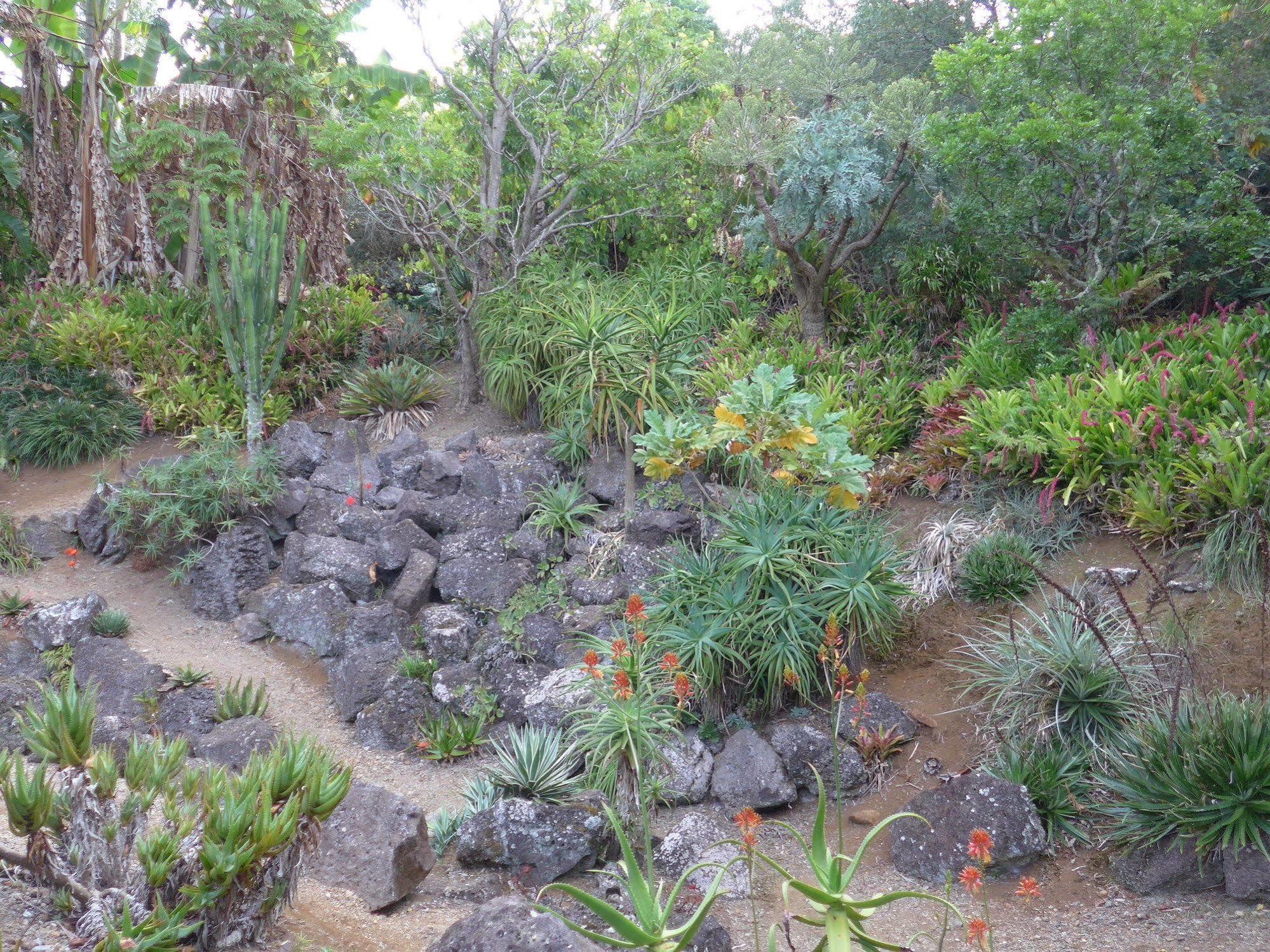 Wharepuke Subtropical Accommodation Kerikeri Esterno foto