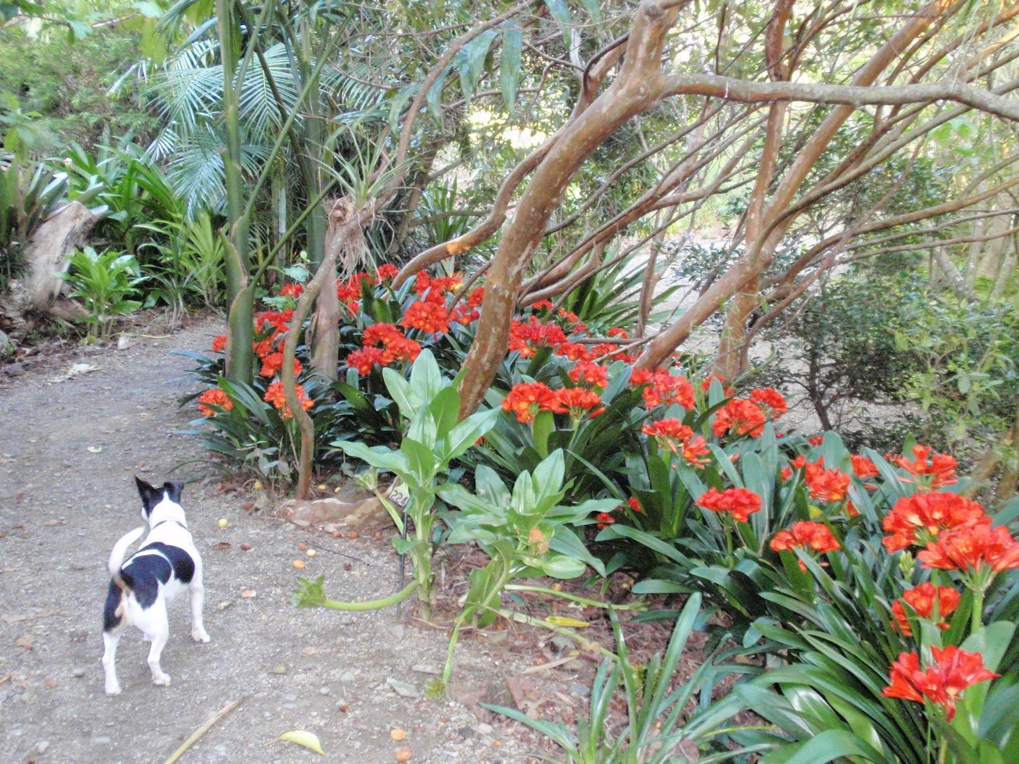 Wharepuke Subtropical Accommodation Kerikeri Esterno foto