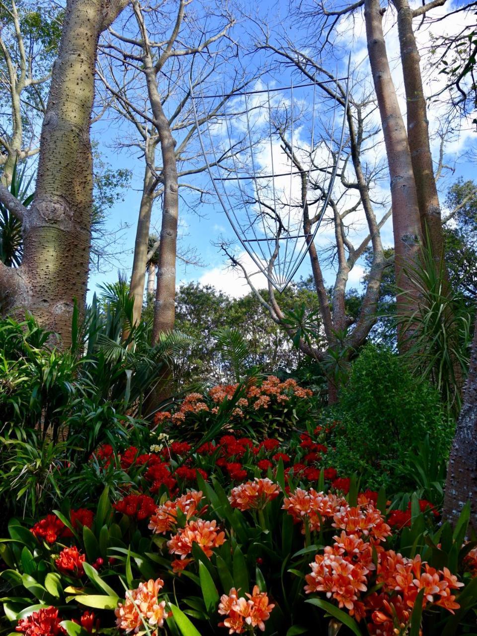 Wharepuke Subtropical Accommodation Kerikeri Esterno foto